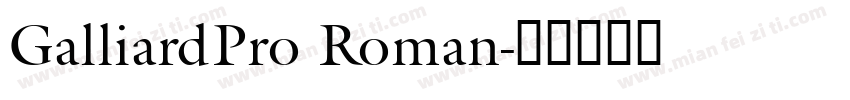 GalliardPro Roman字体转换